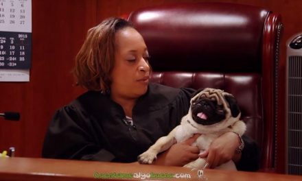 La juez que ejerce junto a su perrito ciego