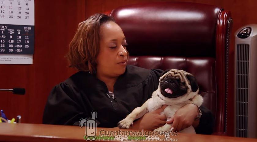 La juez que ejerce junto a su perrito ciego