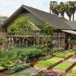 Una familia  produce 2.700 kg de comida al año en 370 m2… Mucho más de lo que necesita