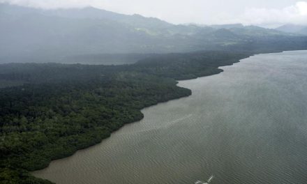 Trabajando juntos por la conservación del medio
