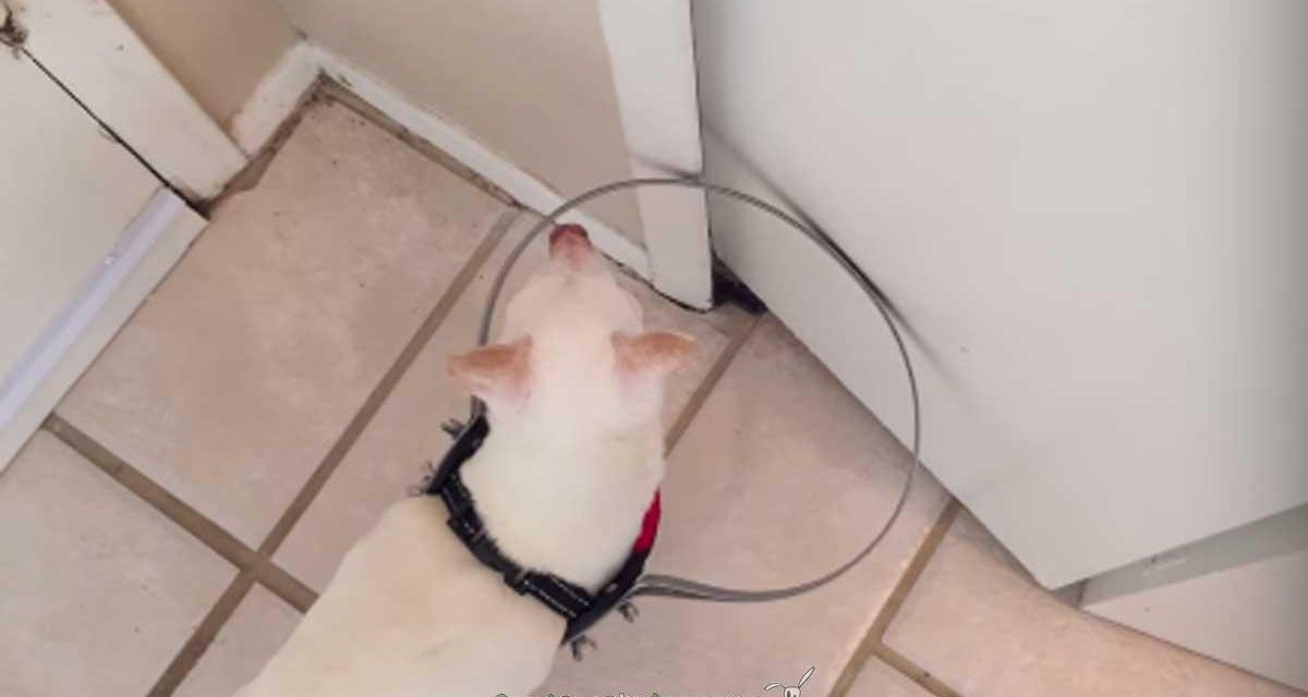 Un poco de luz entre tanta oscuridad