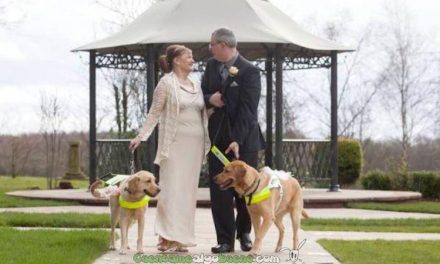 Pareja de ciegos se casa gracias a que sus perros lazarillos se enamoraron