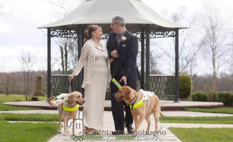 Pareja de ciegos se casa gracias a que sus perros lazarillos se enamoraron