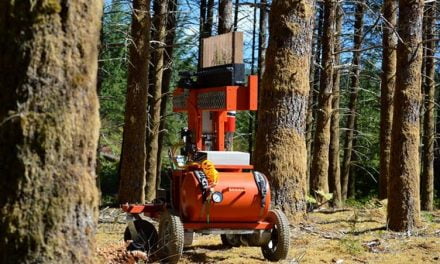 TreeRover, un robot que siembra árboles