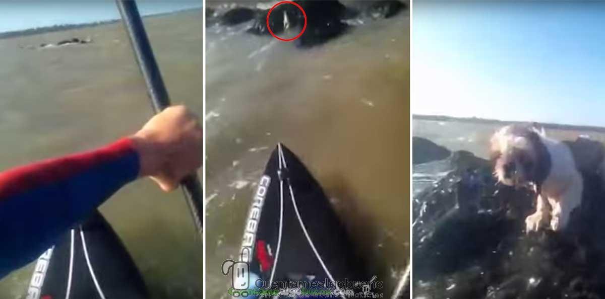 Rescate con final feliz