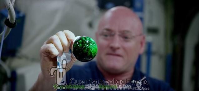 Ciencia y arte; bonitos y curiosos experimentos espaciales