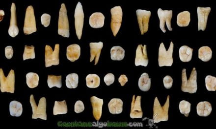 Antiquísimos restos fósiles del Homo sapiens