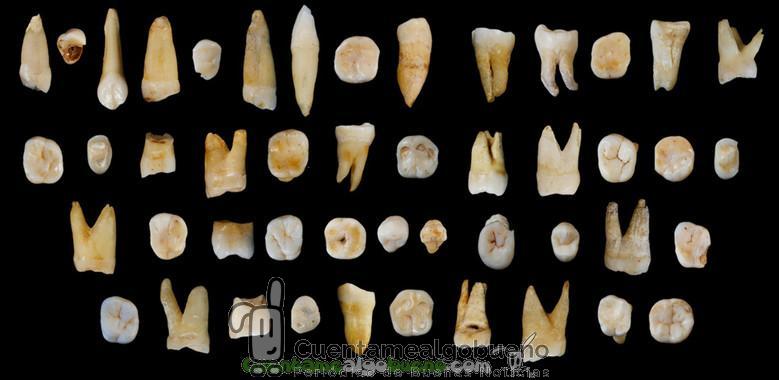 Antiquísimos restos fósiles del Homo sapiens
