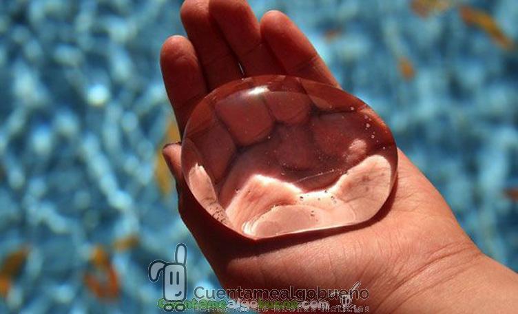 ¿El fin de las botellas de plástico?