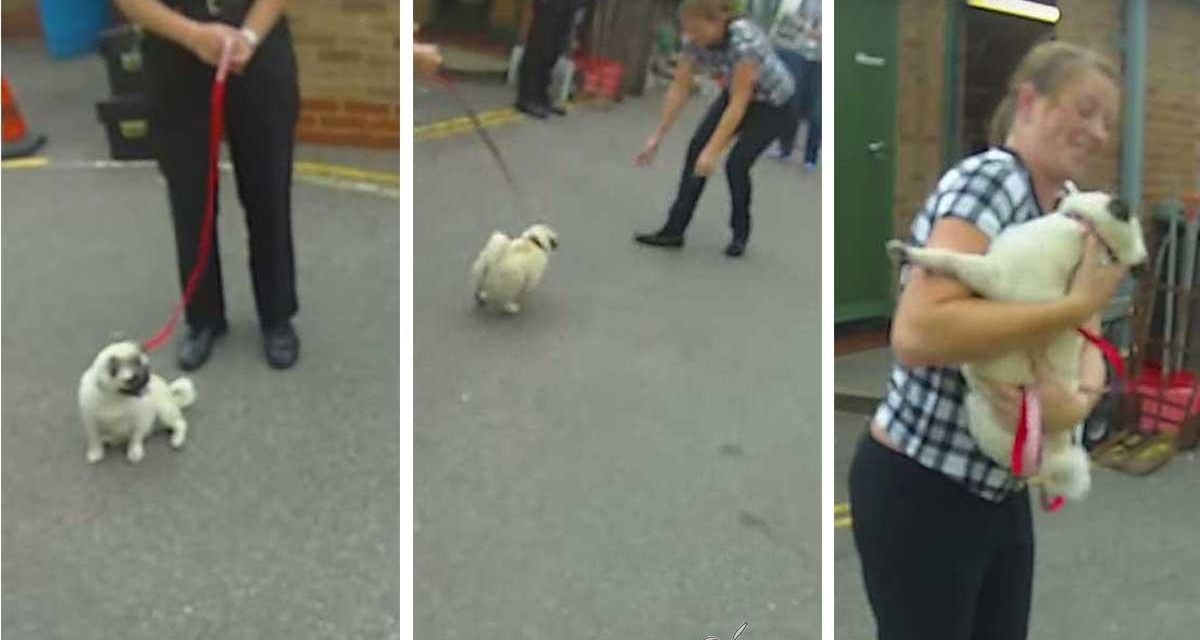 Conmovedor reencuentro