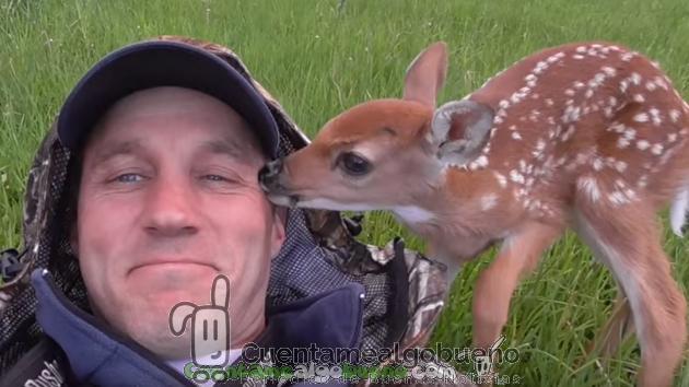 Un cervatillo herido eternamente agradecido