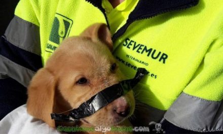 Rescate con final feliz