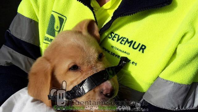 Rescate con final feliz