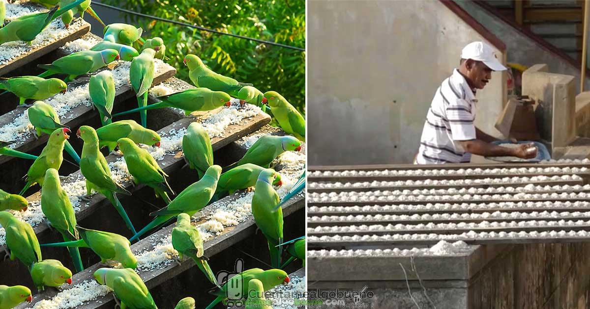 El «hombre pájaro»