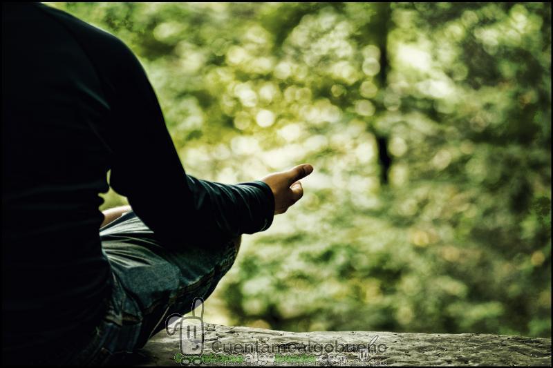 Curso Alimentación y Vida Anticáncer en Granada