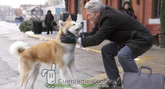 Siempre a tu lado, Hachiko