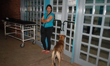 Un fiel amigo inseparable