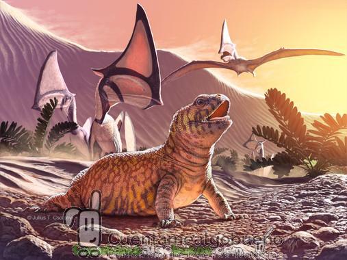 La evolución de los lagartos