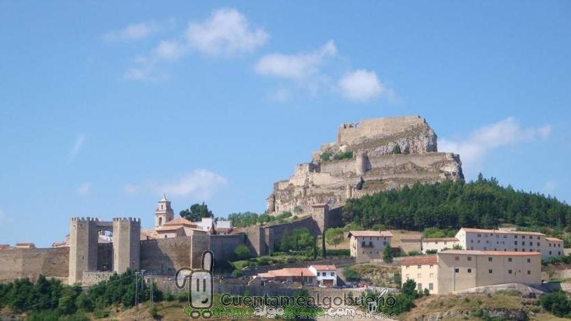 Nueva especie de dinosaurio