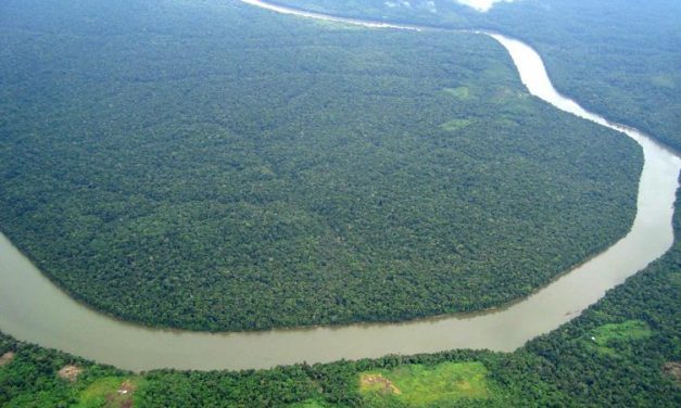 Centro Internacional para el Manejo de Bosques
