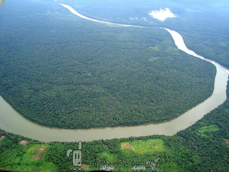 Centro Internacional para el Manejo de Bosques