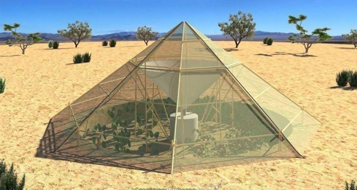 Innovador invernadero para zonas desérticas