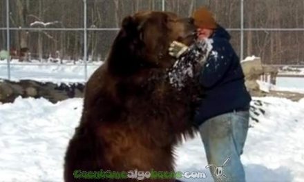 Cariño incondicional entre un oso y su cuidador