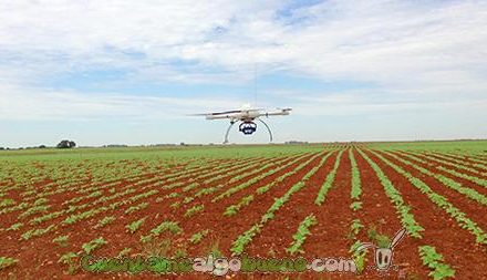 Drones para las malas hierbas
