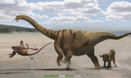 Nueva especie de dinosaurio: el gran Notocolossus