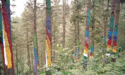 Arte y naturaleza al mismo tiempo