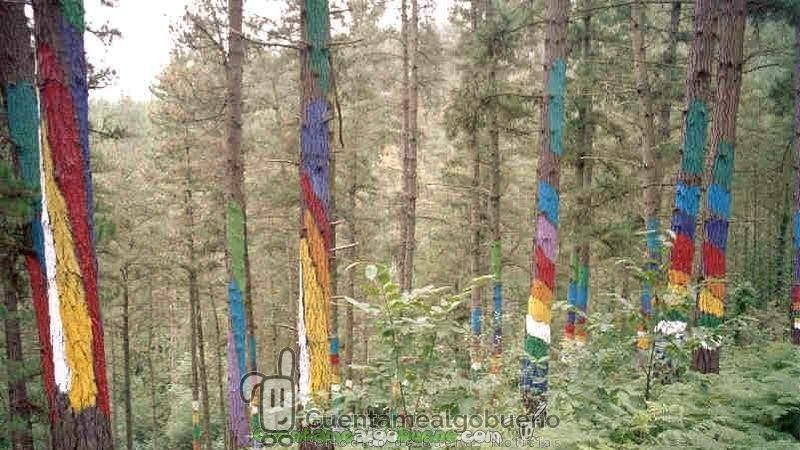 Arte y naturaleza al mismo tiempo