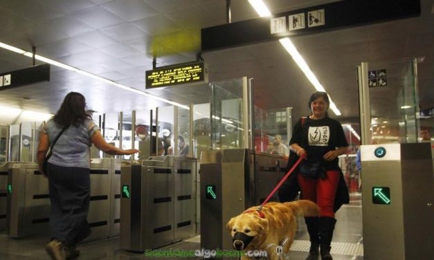 Los perros también podrán viajar en metro