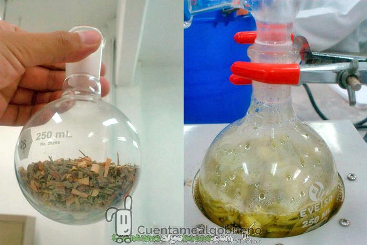 Repelente natural antimosquitos