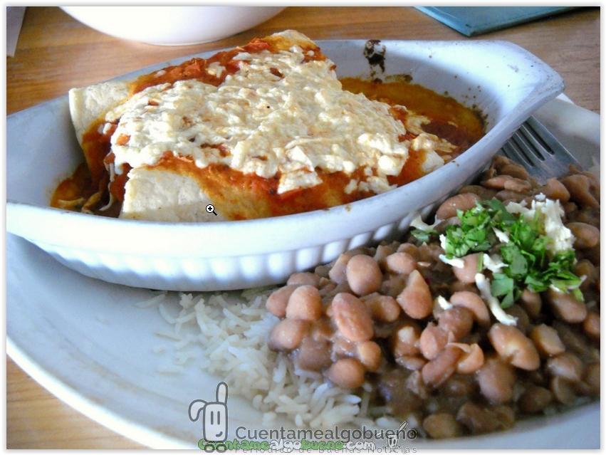 Ser vegetariano aumenta la inteligencia