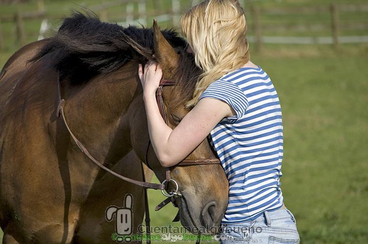 Los caballos y las emociones humanas