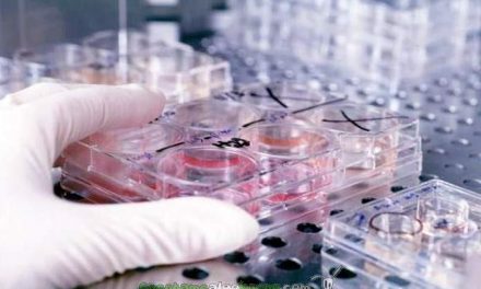 Nueva herramienta en la lucha contra el cáncer