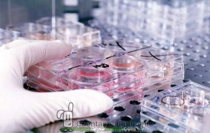 Nueva herramienta en la lucha contra el cáncer