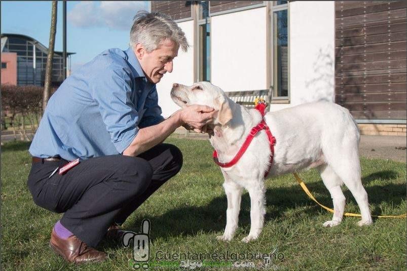 Primera operación a corazón abierto en un perro