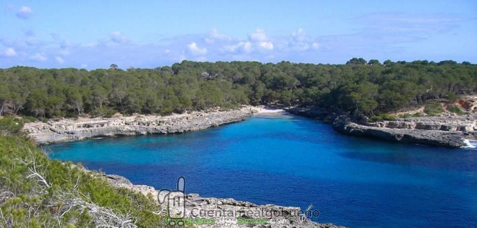 27 ejemplares de especies protegidas en libertad