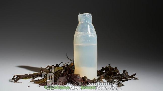 Botella hecha de algas reciclable y comestible