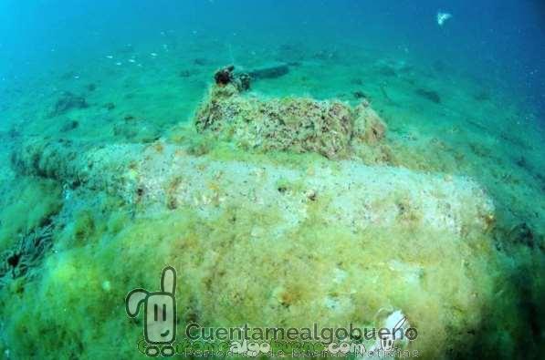 Histórico hallazgo en la playa