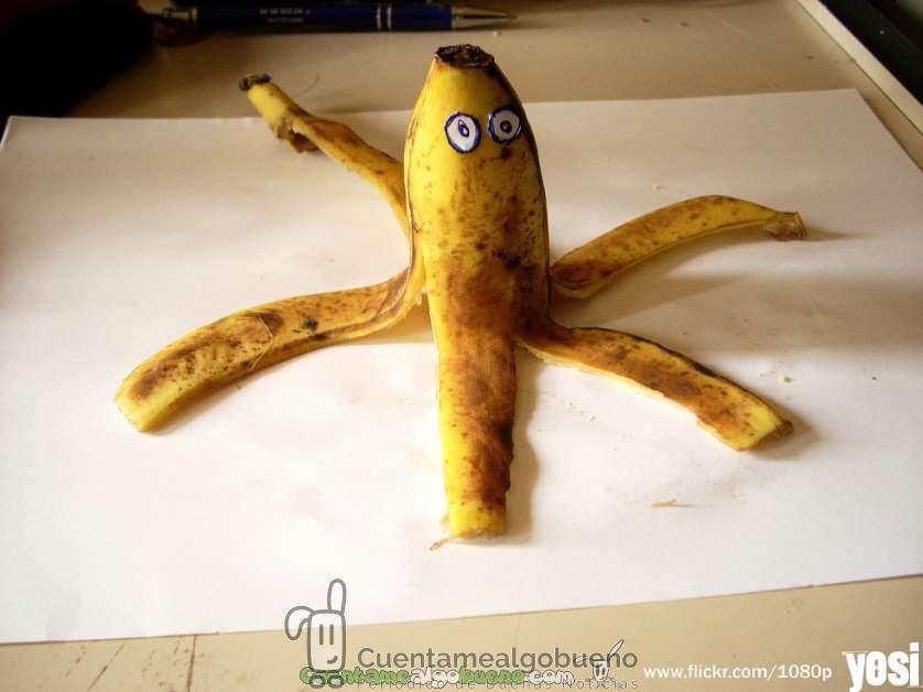 Bioenergía a partir de los desechos de las plantaciones de plátano