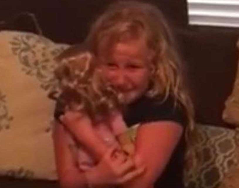 Emocionante sorpresa