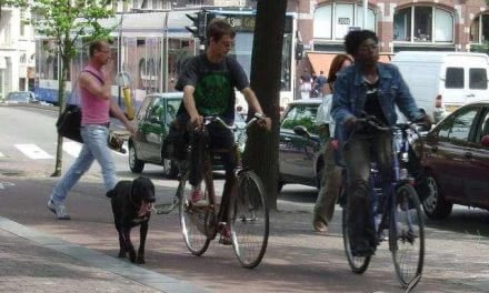 Ya no habrá más animales sacrificados ni recluidos en las perreras en Holanda