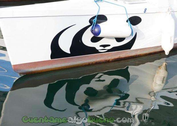 20160714-2-wwf-solar-almunecar