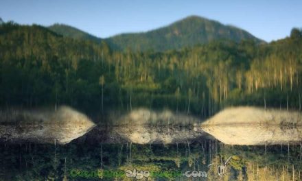 Claraboya. DEL REVÉS