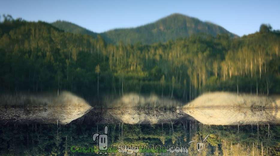 Claraboya. DEL REVÉS