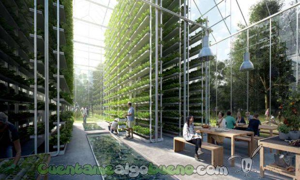 20160718-1-pueblo-auto-sostenible-holanda6