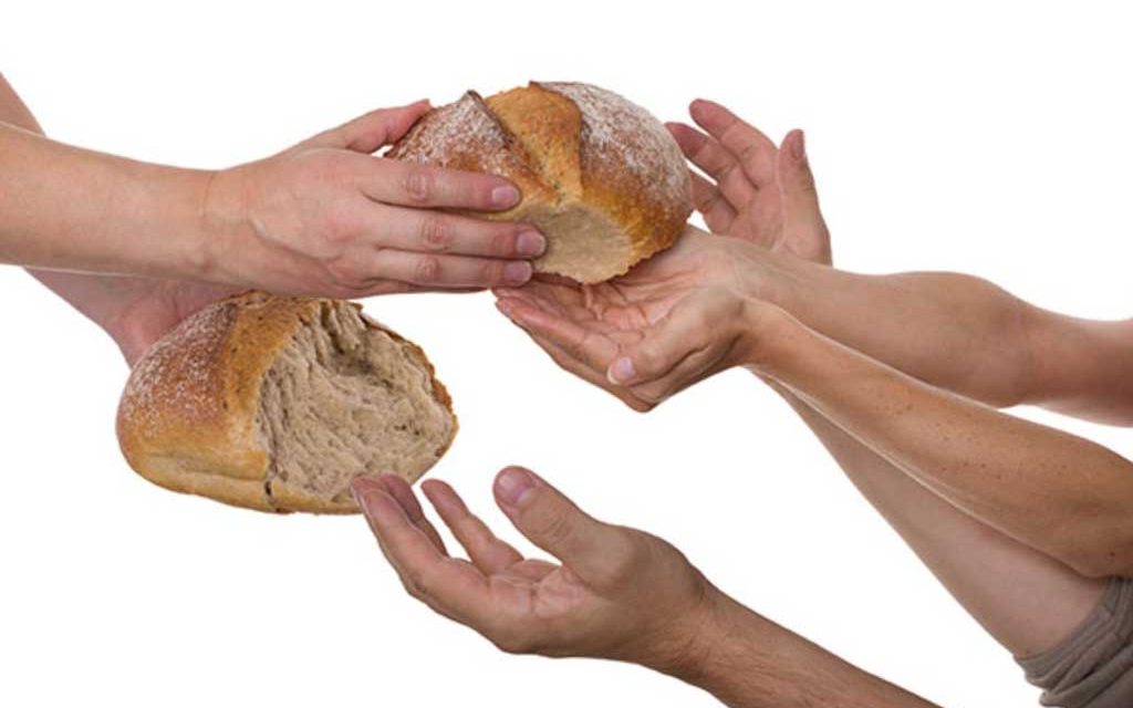 Yonodesperdicio: la red social de los que no quieren tirar la comida