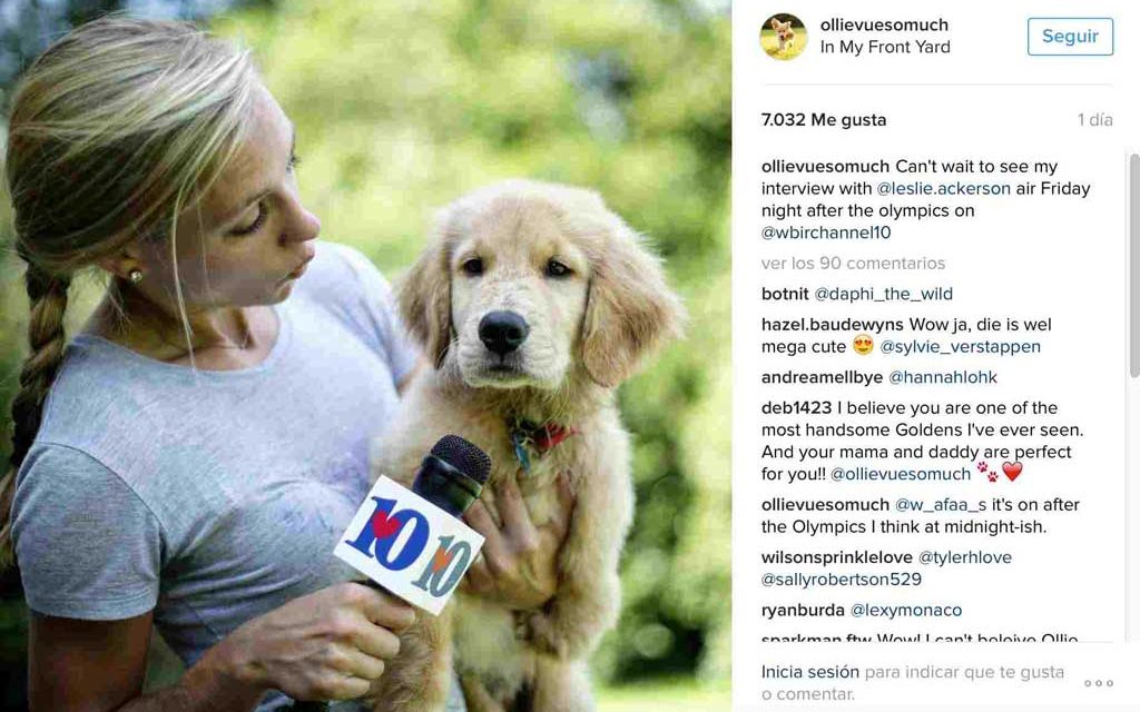 El perro de tres patas más famoso de Internet